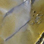 _28120 _28120