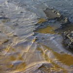 Untitled Yellowstone 29118 Alt Text for this image