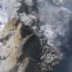 Untitled-1