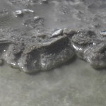 Untitled-3