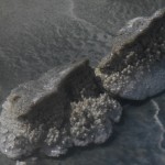 Untitled-4
