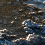 Yellowstone_Det4e