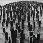 PierNYC_MG_1428