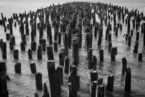 PierNYC_MG_1428