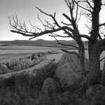 WolfCreek_N7F8481re