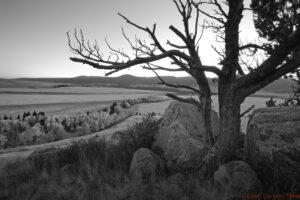 WolfCreek_N7F8481re